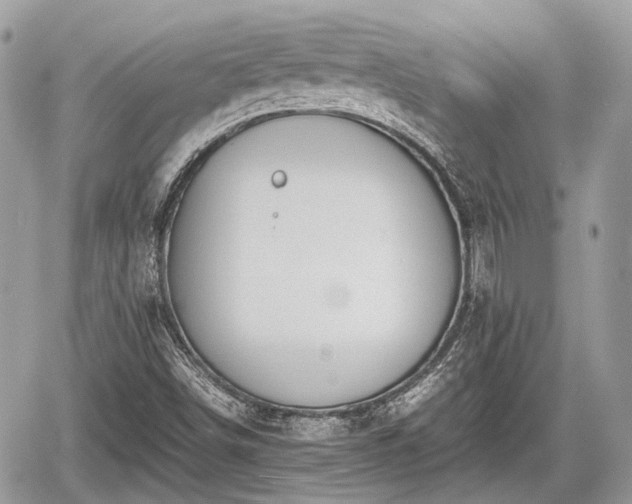 X0000060801498200511141426