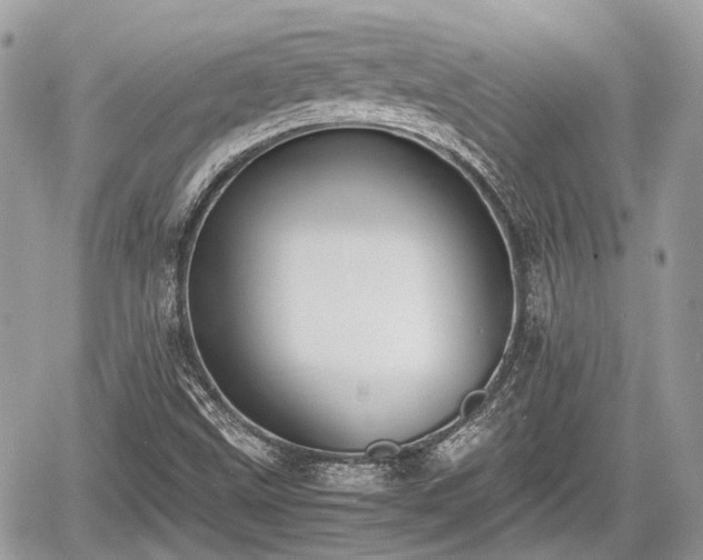 X0000060801499200511141426