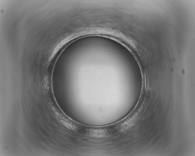 X0000060801501200511141426