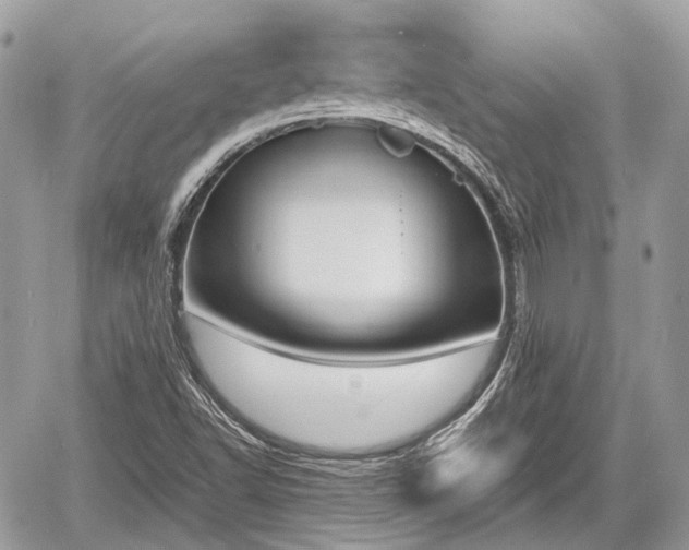 X0000060801502200511141426