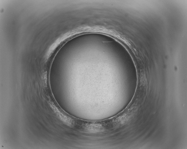 X0000060801503200511141426