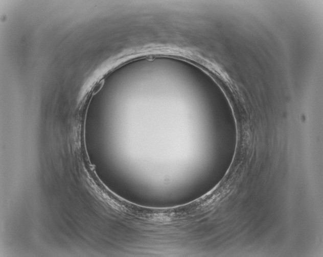 X0000060801504200511141426