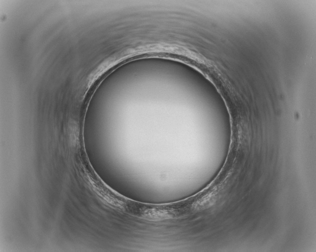 X0000060801505200511141426