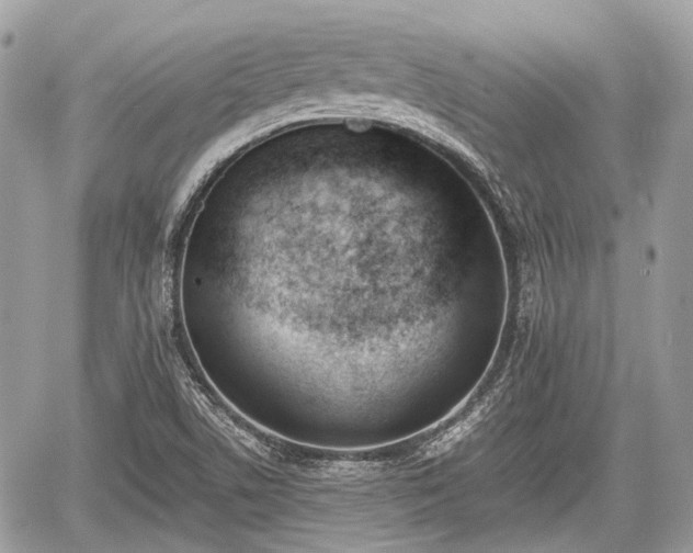 X0000060801506200511141426