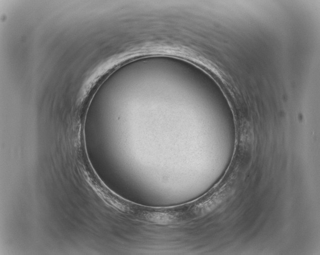 X0000060801507200511141426