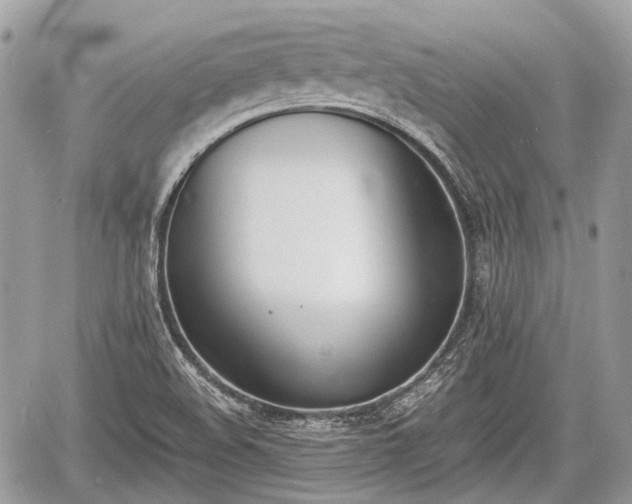 X0000060801508200511141426