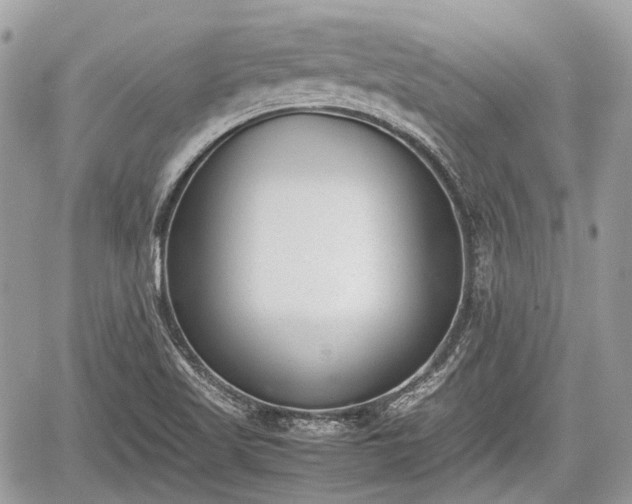 X0000060801509200511141426