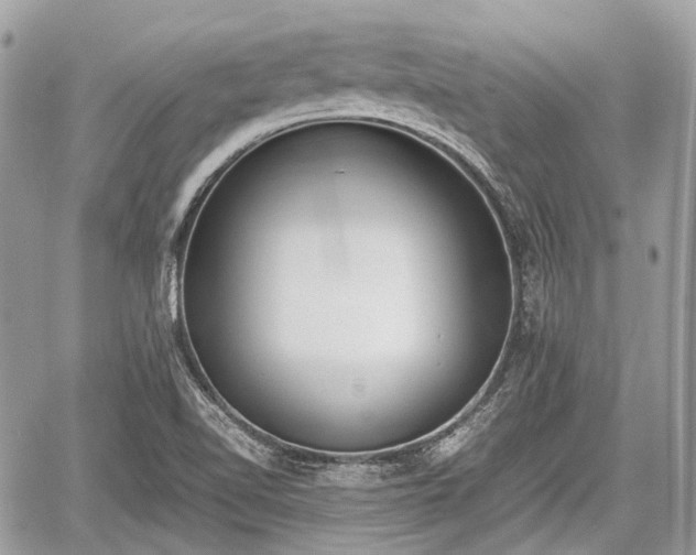 X0000060801510200511141426