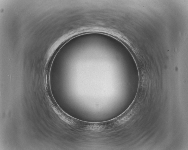 X0000060801511200511141426