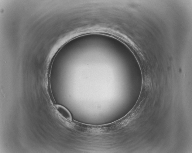 X0000060801512200511141426