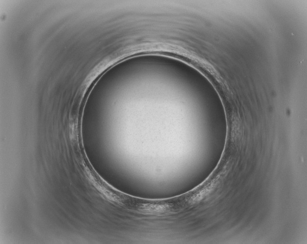 X0000060801513200511141426