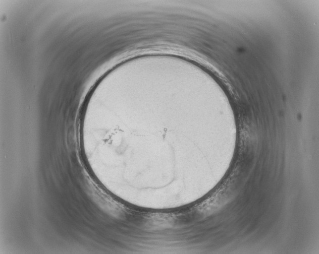 X0000060801514200511141426