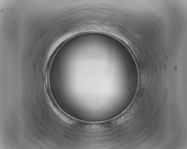 X0000060801515200511141426