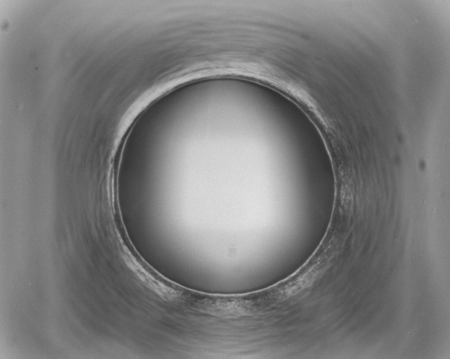 X0000060801516200511141426