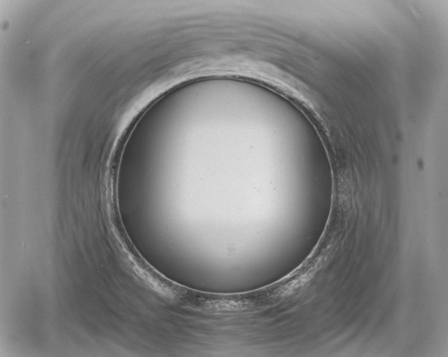 X0000060801517200511141426