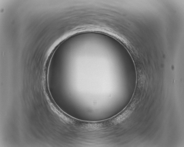 X0000060801518200511141426