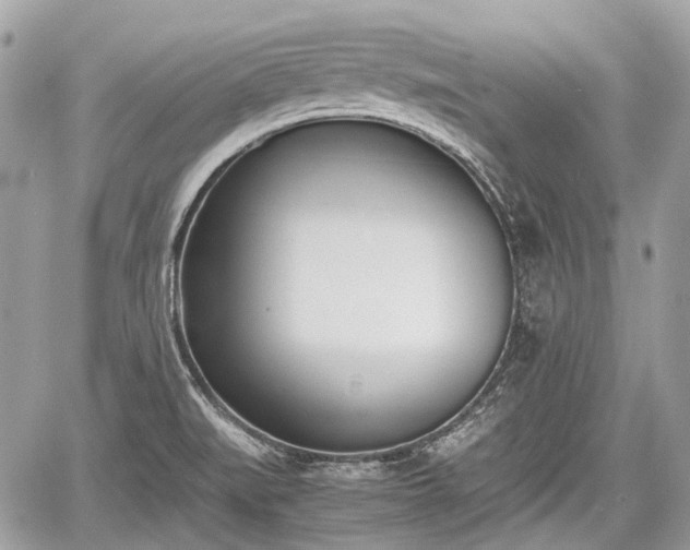 X0000060801519200511141426