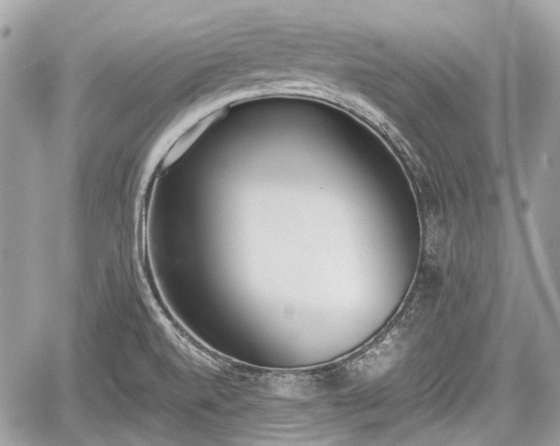 X0000060801520200511141426