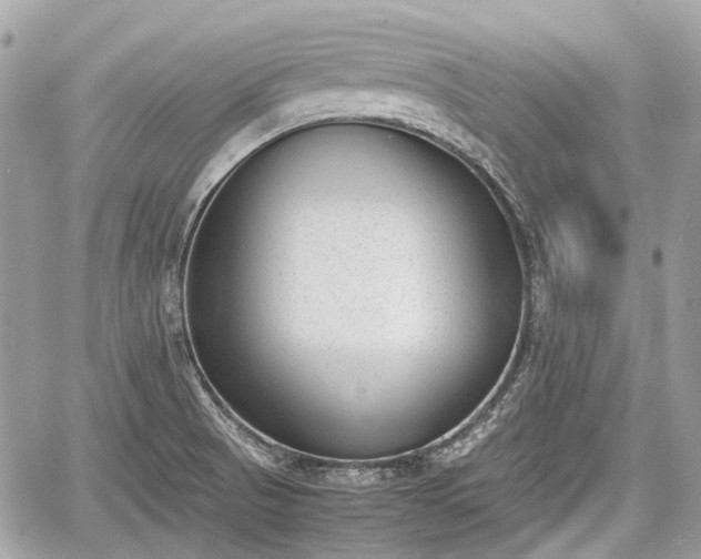 X0000060801521200511141426