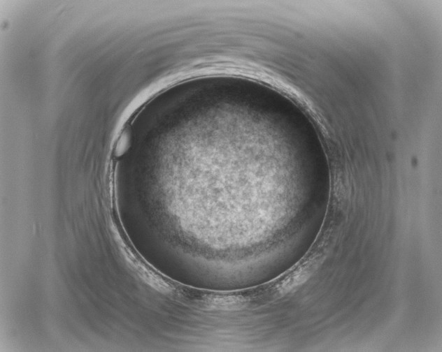 X0000060801522200511141426