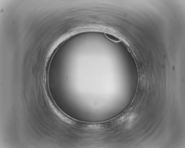 X0000060801523200511141426