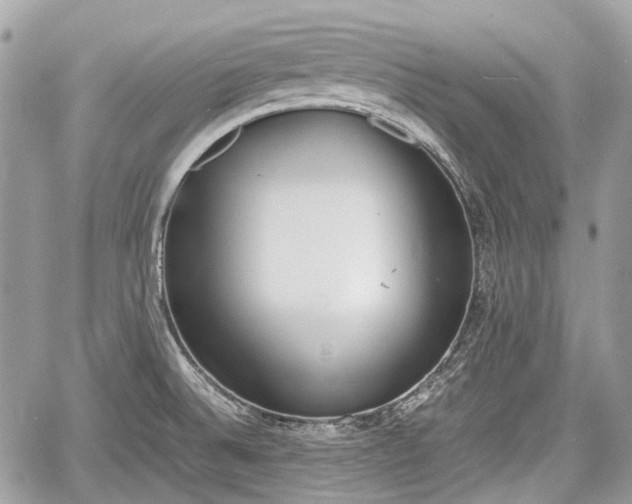 X0000060801524200511141426