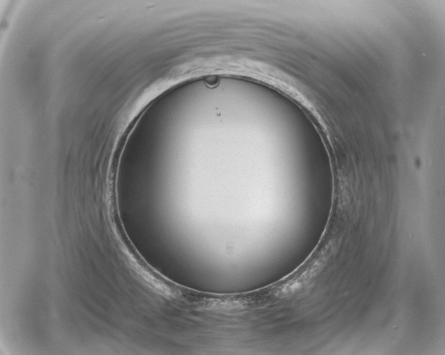 X0000060801525200511141426