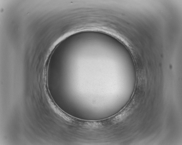 X0000060801526200511141426