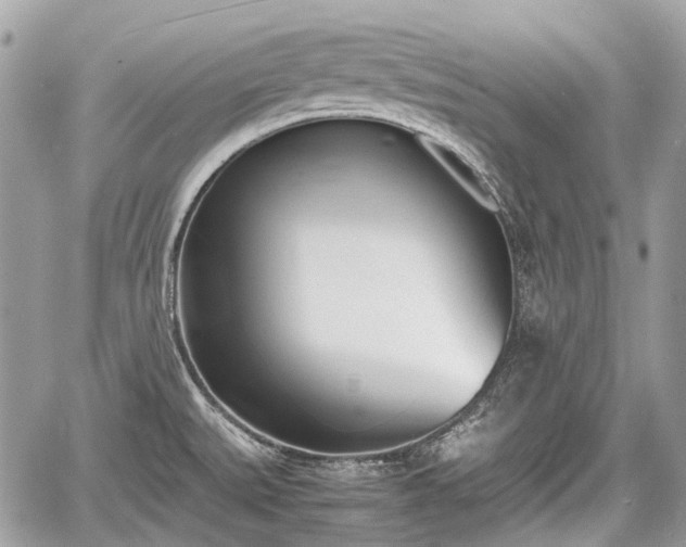 X0000060801527200511141426