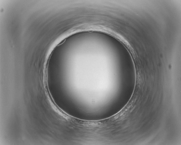 X0000060801528200511141426