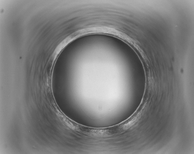 X0000060801529200511141426