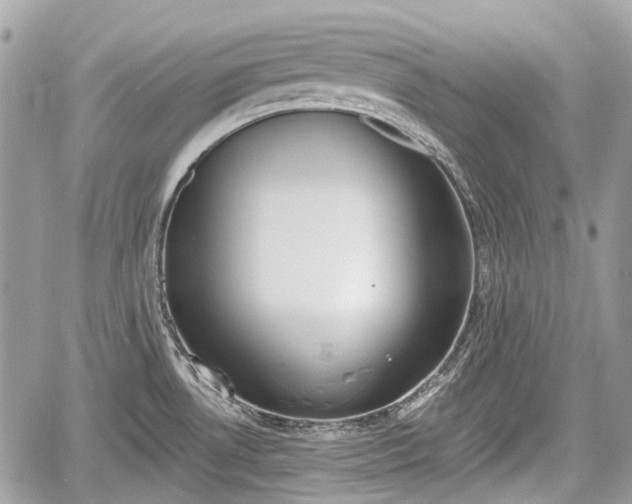 X0000060801530200511141426