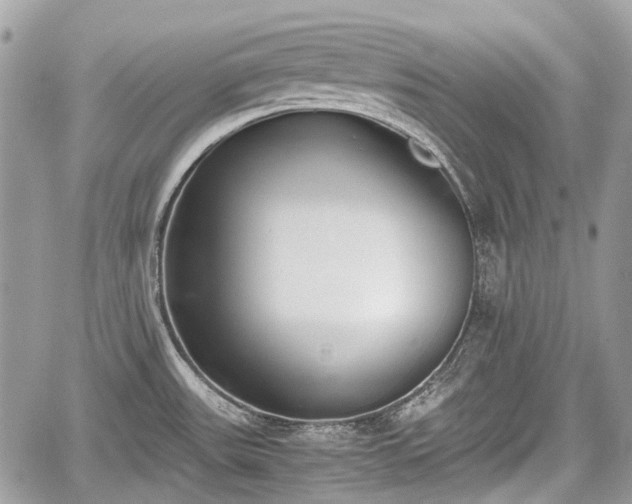 X0000060801531200511141426