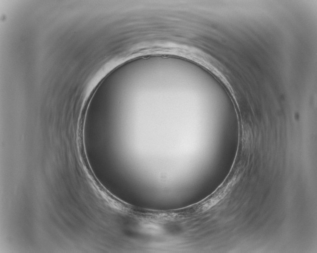 X0000060801533200511141426