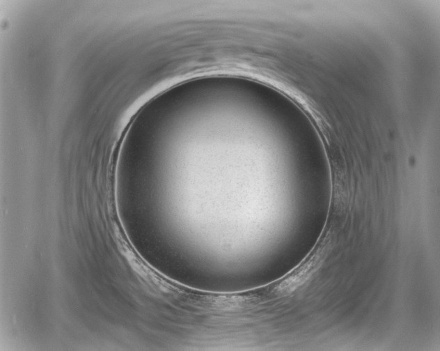 X0000060801534200511141426