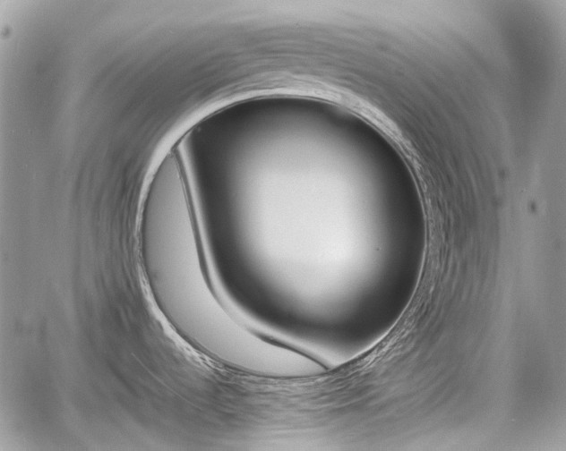 X0000060801536200511141427