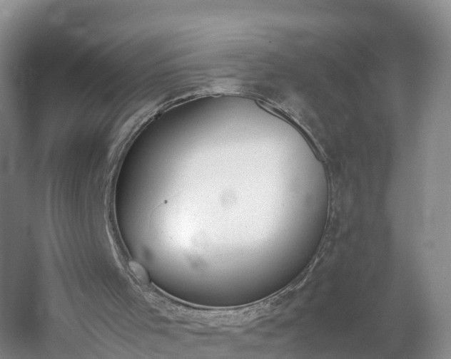 X0000060800001200511171254