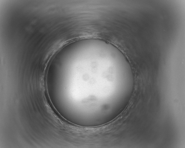 X0000060800002200511171254