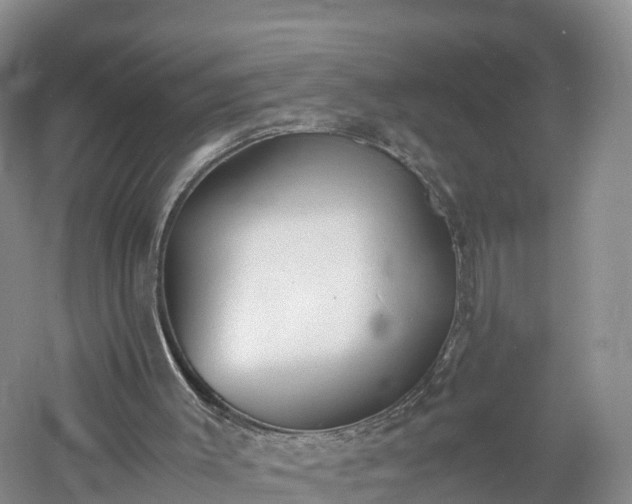 X0000060800003200511171254