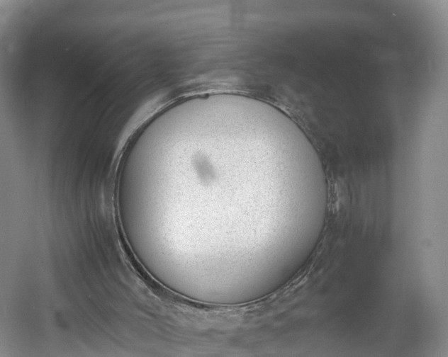 X0000060800004200511171254