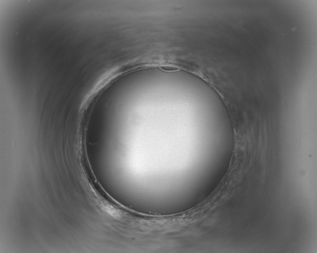 X0000060800005200511171254