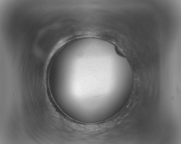 X0000060800006200511171254