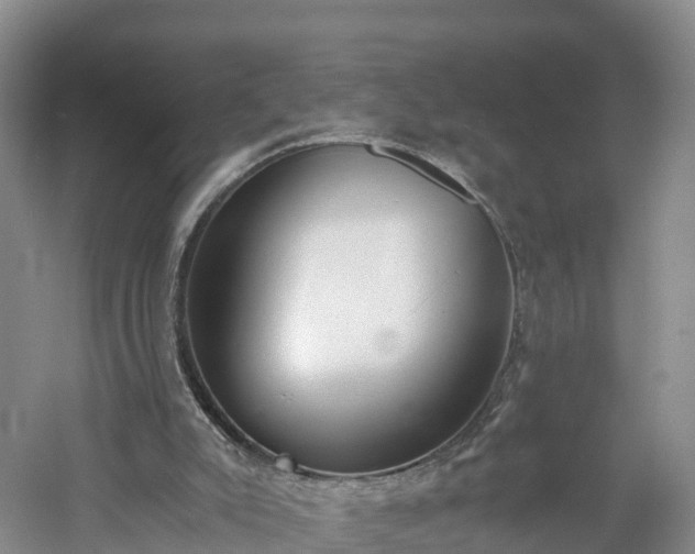 X0000060800007200511171254