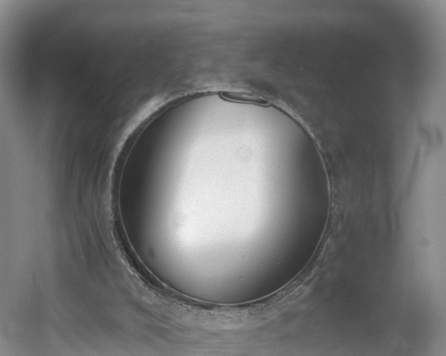 X0000060800008200511171254