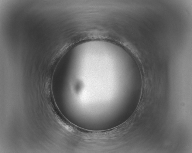 X0000060800009200511171254