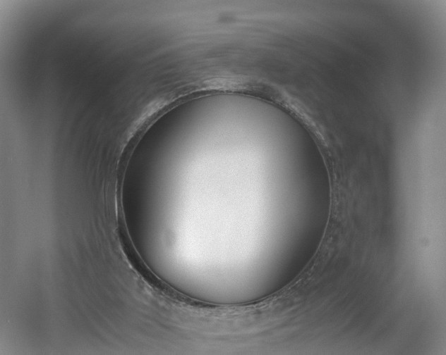 X0000060800011200511171254