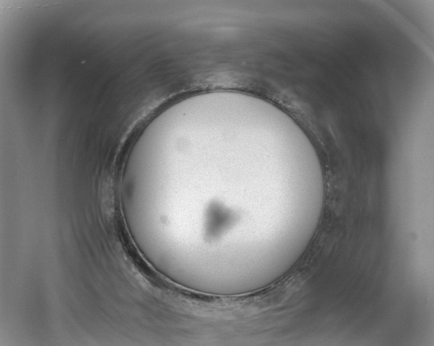 X0000060800012200511171254