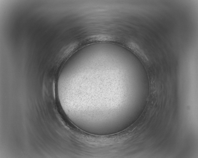 X0000060800014200511171254