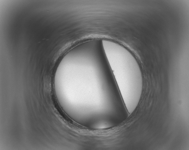 X0000060800015200511171254