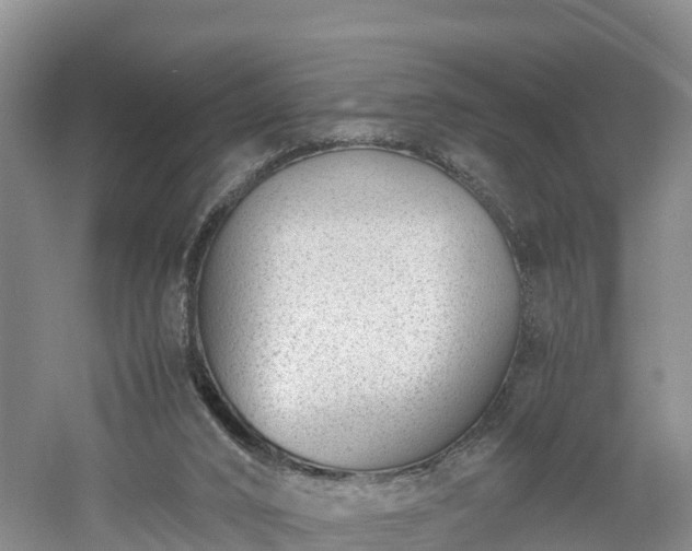 X0000060800016200511171254